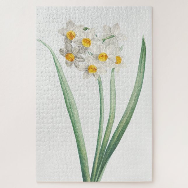 Quebra-cabeça Narcissus, Pierre-Joseph Redouté, 1805 (Vertical)