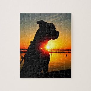 Quebra-cabeça Nascer do sol do pitbull