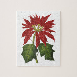 Quebra-cabeça Natal Antigo, Planta de Inverno Poinsettia Vermelh
