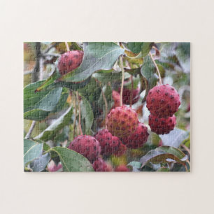 Quebra-cabeça Natureza da Fruta Red Dogwood