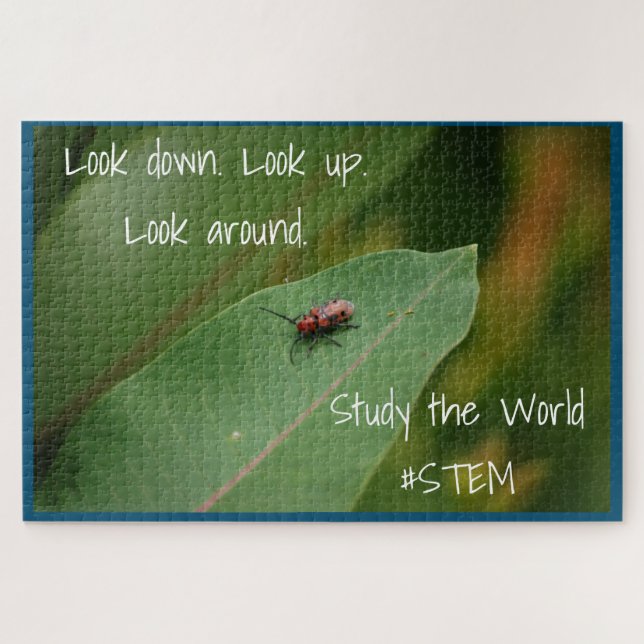 Quebra-cabeça Natureza das folhas de insetos STEM (Horizontal)