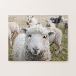 Quebra-cabeça Natureza do Campo Família Animais Selvagens de Ca