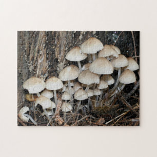 Quebra-cabeça Natureza do Cluster Selvagem Branca de Cogumelos