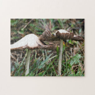 Quebra-cabeça Natureza do par branco do cogumelo