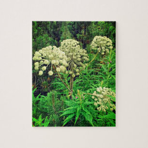 Quebra-cabeça Natureza, Natureza, Plantas Fotografia Quebra-cabe