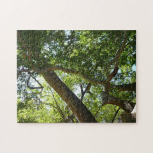Quebra-cabeça Natureza Verde da Árvore Sycamore