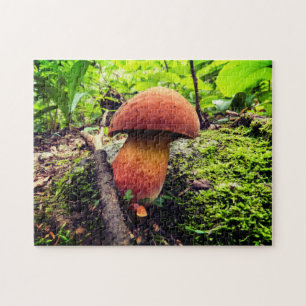 Quebra-cabeça Natureza vibrante   Rei Bolete