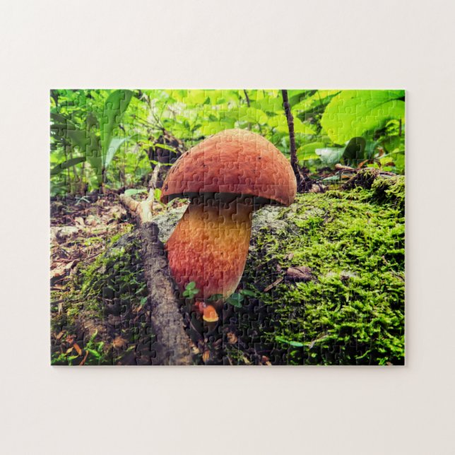 Quebra-cabeça Natureza vibrante | Rei Bolete (Horizontal)