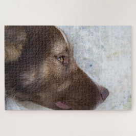 Quebra-cabeça Navegação