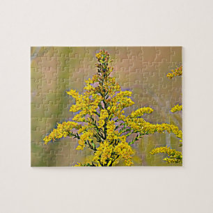 Quebra-cabeça Nebraska Goldenrod