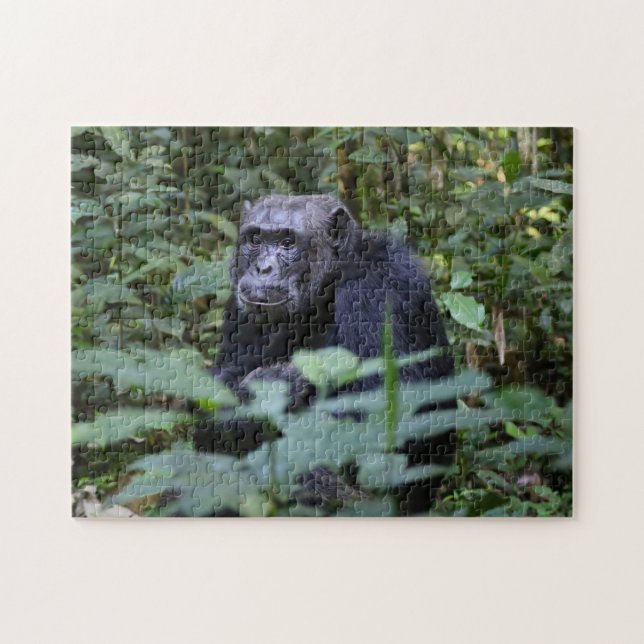 Quebra-cabeça Negócios de Macaco (Horizontal)