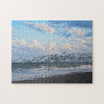 Negras desaparecem na praia cabo-canaveral