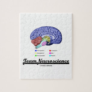 Quebra-cabeça Neurociência da equipe (atitude da anatomia do