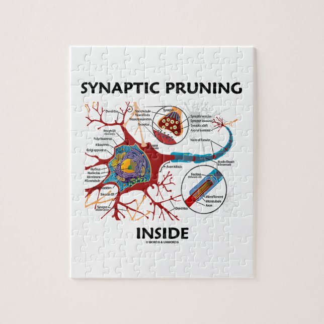 Quebra-cabeça Neurologia Synaptic Pruning Dentro Neuron Synapse (Vertical)