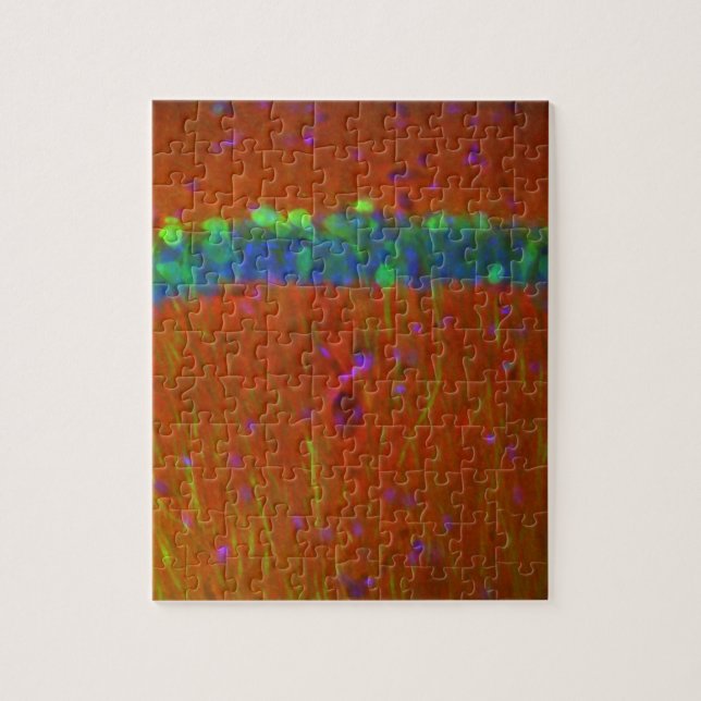 Quebra-cabeça Neurônios 4 de Hippocampal (Vertical)