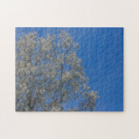 Neve De Fluxo De Árvore Poplar Em Junho