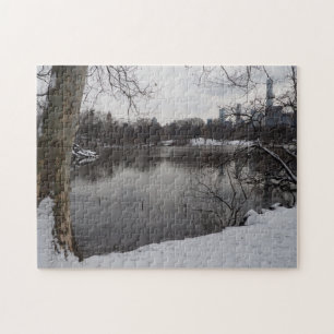 Quebra-cabeça Neve de inverno no Central Park Nova Iorque NYC