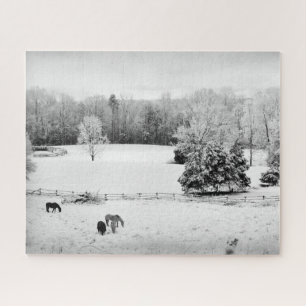 Quebra-cabeça Neve fresca desbotada na Fazenda Horse - 16x20 pol