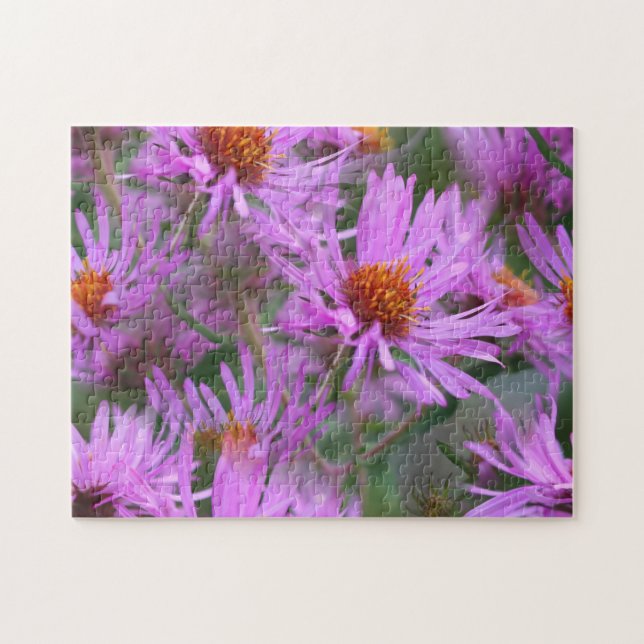 Quebra-cabeça New England Rosa Asters Flower Art (Horizontal)