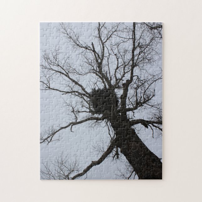 Quebra-cabeça Ninho preto do ribeiro (Vertical)