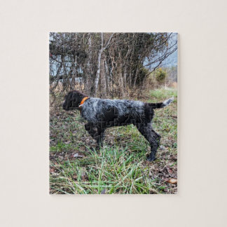 Quebra-cabeça No filhote de cachorro do ponto