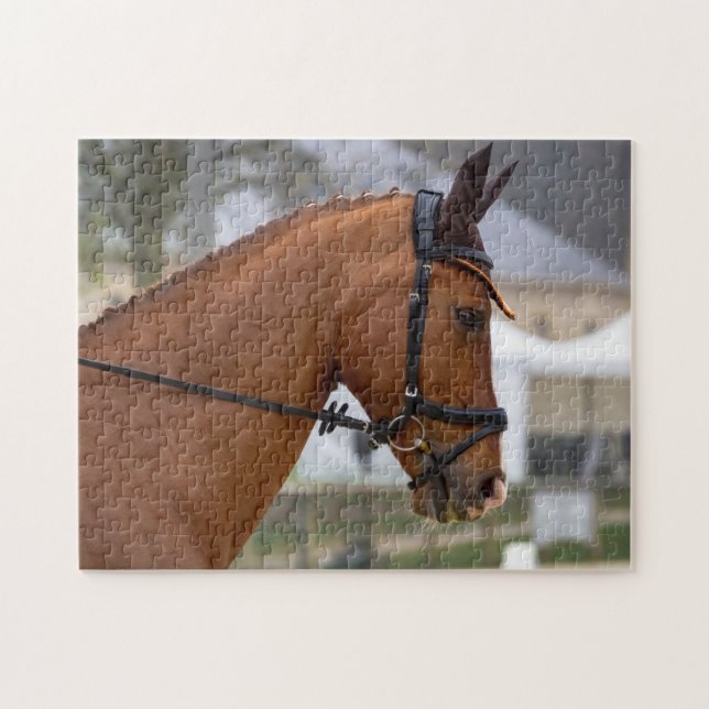 Quebra-cabeça No Horse Show (Horizontal)