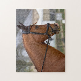 Quebra-cabeça No Horse Show