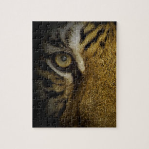 Quebra-cabeça No Olho de um Tigre