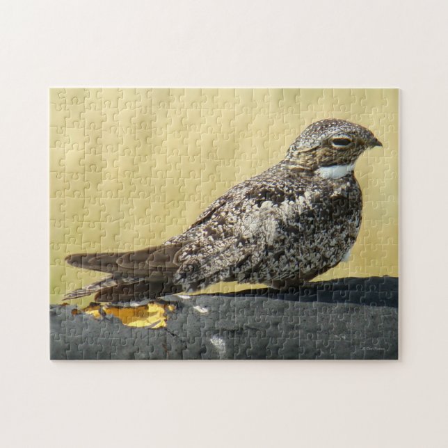 Quebra-cabeça Noctívago B29 (Horizontal)