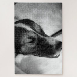 Quebra-cabeça Noite de Cachorro