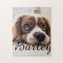 Nome e Foto Simples Moderno Elegante Chic do Pet