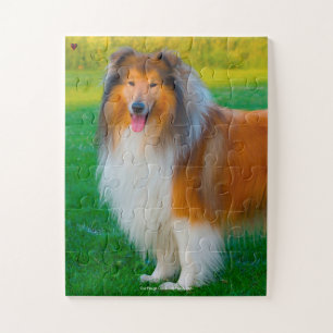 Quebra-cabeça Nosso Collie Áspero Nosso Animal de Estimação da F