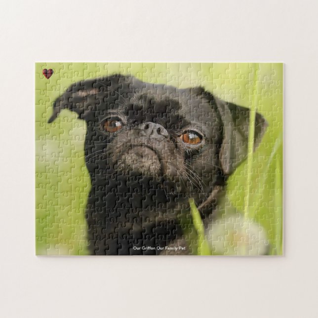 Quebra-cabeça Nosso Griffon Cachorro Nossa Família Pet Jigsera Q (Horizontal)