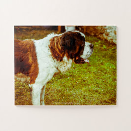 Quebra-cabeça Nosso Santo Bernard Nossa Família Pet