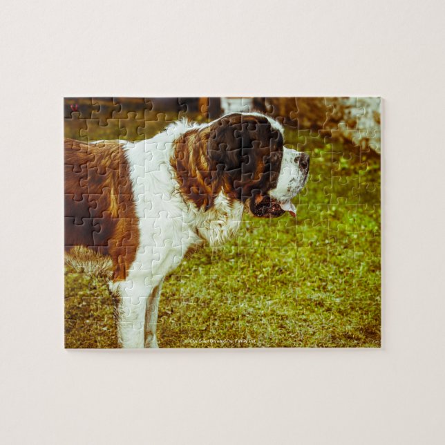 Quebra-cabeça Nosso São Bernardo Nosso Animal de Estimação da Fa (Horizontal)