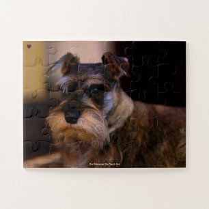 Quebra-cabeça Nosso Schnauzer Nosso Animal de Estimação da Famíl
