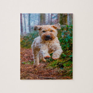 Quebra-cabeça Nosso Terrier Wheaten Nosso Animal de Estimação da