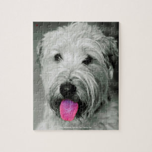 Quebra-cabeça Nosso Terrier Wheaten Nosso Animal de Estimação da