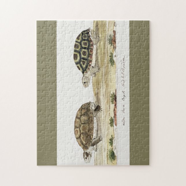 Quebra-cabeça Notas Postadas do Padloper Tortoise (Vertical)