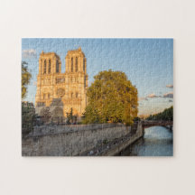 Notre Dame de Paris em Ouro Hour - Paris, França