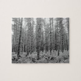 Quebra-cabeça Nova Floresta, Hampshire Pine Tree Forest