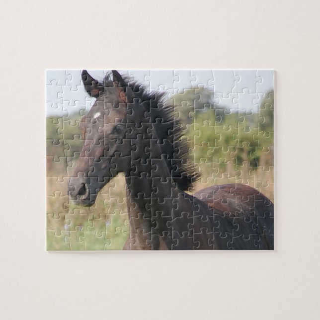 Quebra-cabeça Novo Pôneo/Cavalo (Horizontal)