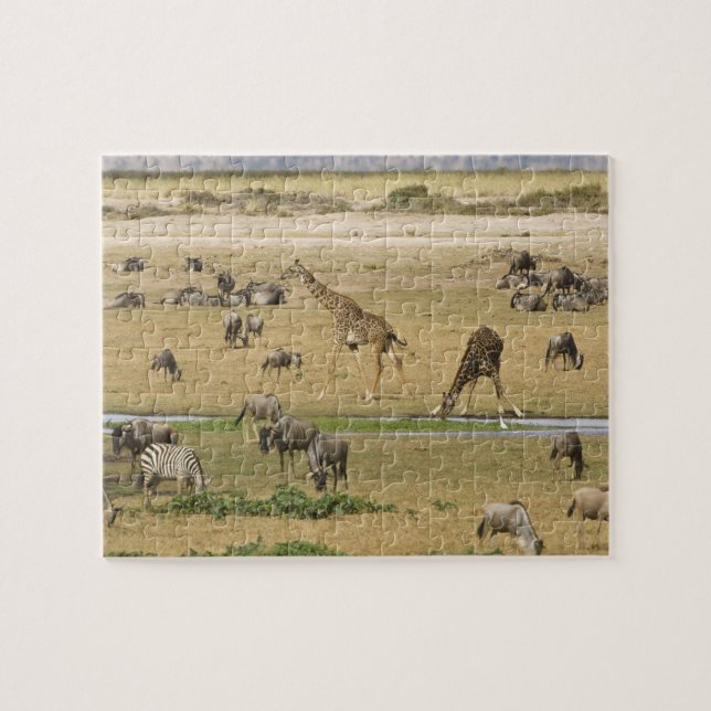 Quebra-cabeça Ñus, Zebras e Girafas (Horizontal)
