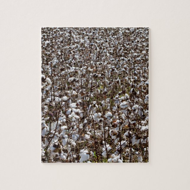 Quebra-cabeça O algodão colhe o campo (Vertical)