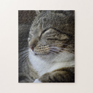 Quebra-cabeça O Bela Adormecida - Gato Tabby