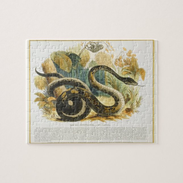 Quebra-cabeça O Constrictor de boa, pub. educacional da (Horizontal)