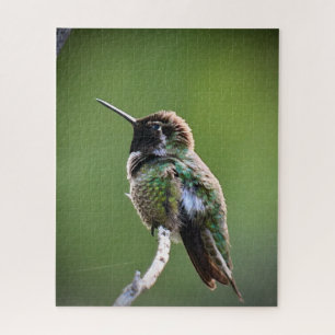 Quebra-cabeça O Hummingbird de Anna