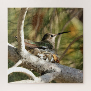Quebra-cabeça O Hummingbird de Anna no Nest