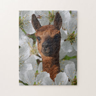 Quebra-cabeça O Jovem Marrom Alpaca Em Brilhos Brancos,