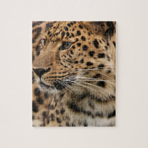 Quebra-cabeça O leopardo